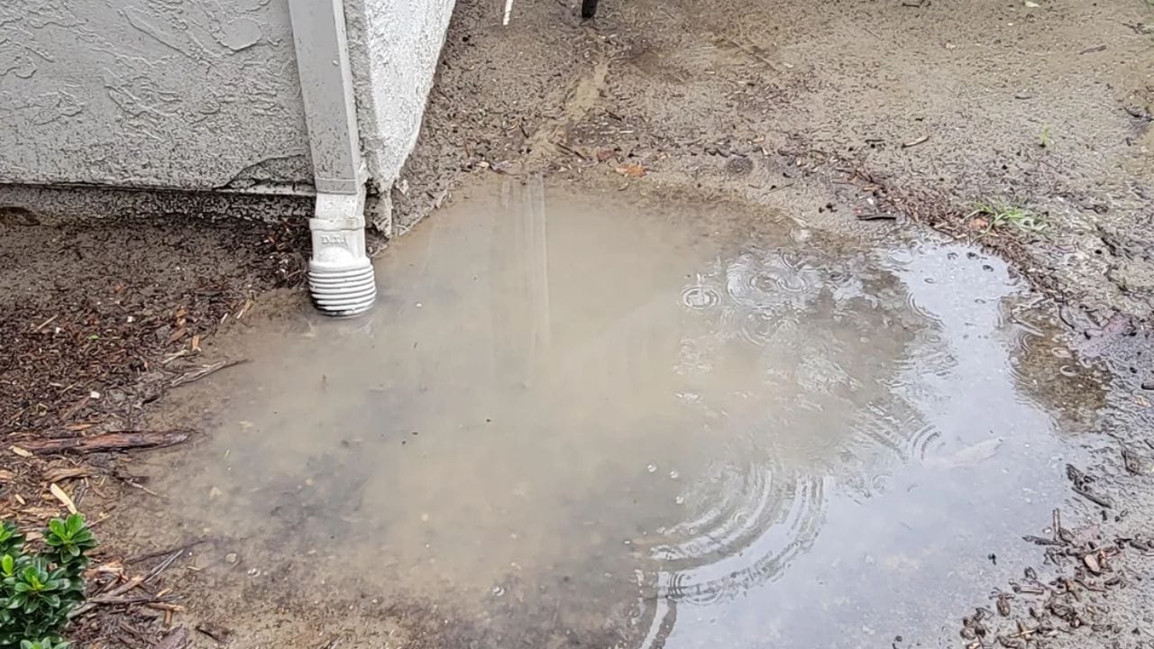 જો તમારા ઘરમાં કોઈ જગ્યાએ પાણી જમા થઈ રહ્યું હોય, તો તેને તાત્કાલિક દૂર કરો. નહીં તો આ ઘરમાં નકારાત્મકતા લાવી શકે છે.