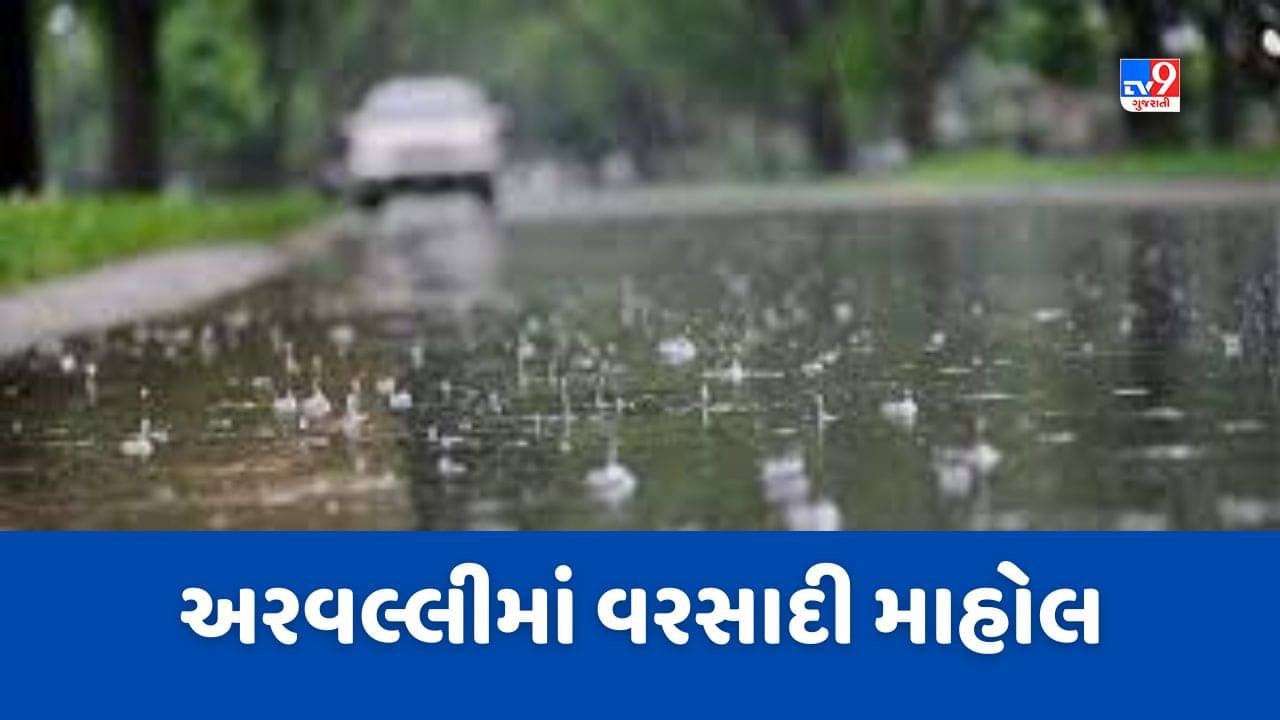 અરવલ્લી જિલ્લામાં મેઘરજ અને માલપુરમાં ધોધમાર વરસાદ, જુઓ Video