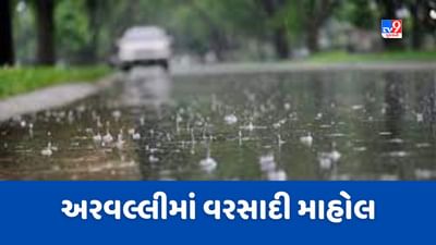 અરવલ્લી જિલ્લામાં મેઘરજ અને માલપુરમાં ધોધમાર વરસાદ, જુઓ Video
