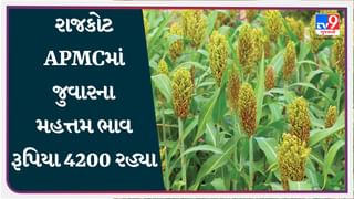 APMC Market Rates : રાજકોટ APMCમાં જુવારના મહત્તમ ભાવ રૂપિયા 4200 રહ્યા, જાણો જુદા-જુદા પાકના ભાવ
