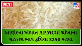 APMC : આણંદના ખંભાત APMCમાં ચોખાના મહત્તમ ભાવ રૂપિયા 3250 રહ્યા