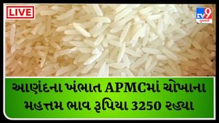 APMC Market Rates : આણંદના ખંભાત APMCમાં ચોખાના મહત્તમ ભાવ રૂપિયા 3250 રહ્યા, જાણો જુદા-જુદા પાકના ભાવ