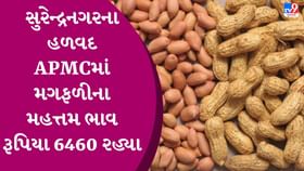 APMC: સુરેન્દ્રનગરના હળવદ APMCમાં મગફળીના મહત્તમ ભાવ રૂપિયા 6460 રહ્યા