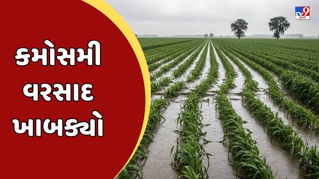Amreli : સાવરકુંડલામાં કમોસમી વરસાદે સર્જી તારાજી, રાજ્યકક્ષાના મંત્રી કૌશિક વેકરીયાએ અસરગ્રસ્ત વિસ્તારોની લીધી મુલાકાત, જુઓ Video