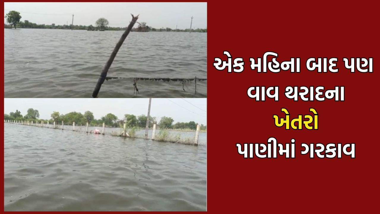 વાવ થરાદના ખેડૂતોની દયનિય સ્થિતિ, એક મહિનો વિત્યા બાદ પણ ખેતરોમાંથી નથી ઓસર્યા પૂરના પાણી