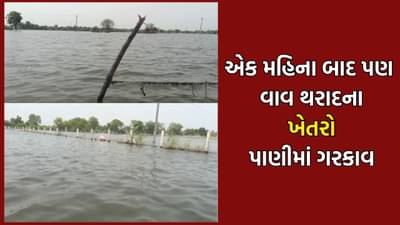 વાવ થરાદના ખેડૂતોની દયનિય સ્થિતિ, એક મહિનો વિત્યા બાદ પણ ખેતરોમાંથી નથી ઓસર્યા પૂરના પાણી