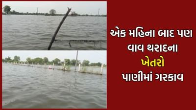 વાવ થરાદના ખેડૂતોની દયનિય સ્થિતિ, એક મહિનો વિત્યા બાદ પણ ખેતરોમાંથી નથી ઓસર્યા પૂરના પાણી