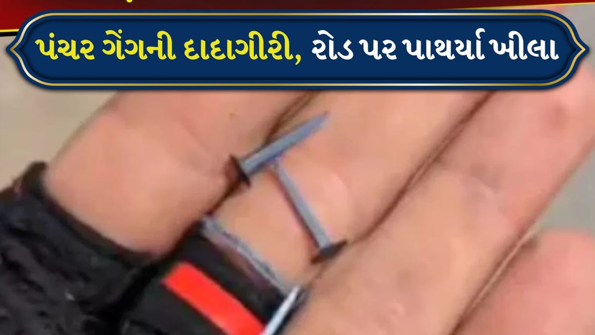 Viral Video: પંચર ગેંગ અહીં તબાહી મચાવી રહી છે, કાર સવારોને લૂંટવા માટે રસ્તા પર લગાવે છે ખીલા