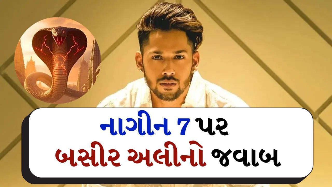 Baseer Ali Exclusive: ‘નાગિન 7’ પર બસીર અલીનો મોટો ખુલાસો, શું બિગ બોસ પછી તરત જ તેને નવો શો મળ્યો? જાણો સંપૂર્ણ સત્ય