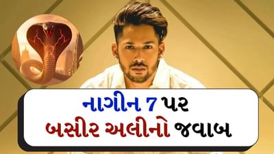 Baseer Ali Exclusive: 'નાગિન 7' પર બસીર અલીનો મોટો ખુલાસો, શું બિગ બોસ પછી તરત જ તેને નવો શો મળ્યો? જાણો સંપૂર્ણ સત્ય