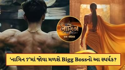 બિગ બોસ 19ના આ સ્પર્ધકની નાગિન 7 સિરિયલમાં થશે એન્ટ્રી? એકતા કપૂરે કરી ઓફર