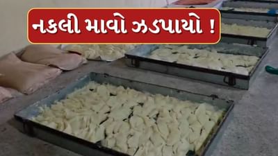 Bhavnagar : શિહોરમાં નકલીની ભરમાર ! SOGએ 1185 કિલો બનાવટી માવો જપ્ત કર્યો, જુઓ Video Bhavnagar : શિહોરમાં નકલીની ભરમાર ! SOGએ 1185 કિલો બનાવટી માવો જપ્ત કર્યો, જુઓ Video