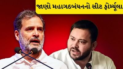 Bihar Elections: મહાગઠનબંધનમાં બેઠક વહેચણી પર થઇ આ સમજુતિ, જાણો RJD અને કોંગ્રેસનો બેઠકને લઇને ફોર્મ્યૂલા