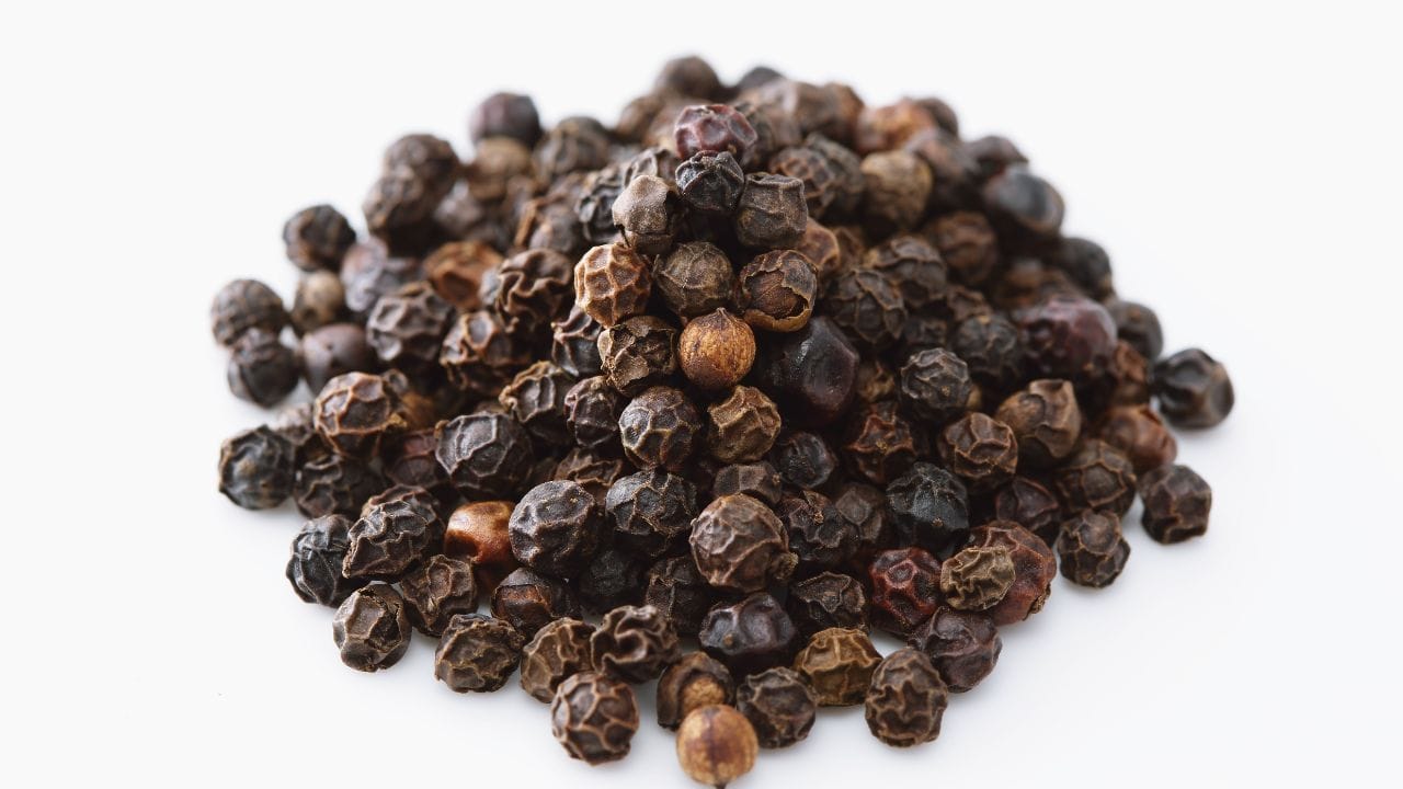 કાળા મરી એક સામાન્ય રસોડાનો મસાલો છે, જે લગભગ દરેક વાનગીમાં સ્વાદ વધારવા માટે ઉપયોગમાં લેવાય છે. પરંતુ તે માત્ર સ્વાદ માટે જ નહીં, સ્વાસ્થ્ય માટે પણ અત્યંત લાભદાયક છે. કાળા મરીમાં મેગ્નેશિયમ, કોપર, આયર્ન, કેલ્શિયમ, ફોસ્ફરસ અને પોટેશિયમ જેવા મહત્વપૂર્ણ ખનિજો રહેલા હોય છે. સાથે જ તેમાં વિટામિન A, K, E અને B સમૂહના વિટામિન પણ હોય છે, જે શરીરની રોગપ્રતિકારક શક્તિ વધારવામાં અને તંદુરસ્તી જાળવવામાં મદદરૂપ બને છે. હવે જાણીએ કે કાળા મરીનું સેવન કોને ખાસ ફાયદાકારક સાબિત થઈ શકે છે. (Credits: - Canva)