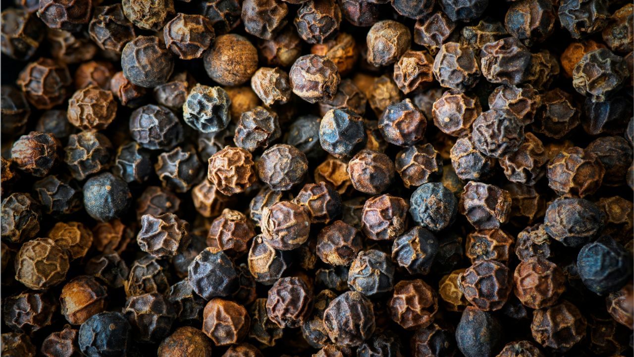 કાળા મરીમાં રહેલા પ્રાકૃતિક તત્વો ત્વચા માટે ખૂબ ફાયદાકારક છે. તે ત્વચામાંના બેક્ટેરિયા અને મેલાનિનના વધારે પ્રમાણને નિયંત્રિત કરવામાં મદદ કરે છે, જેના કારણે ત્વચા પર થતા ડાઘ-ધબ્બા અને તેને લગતી સમસ્યા ઘટે છે. વધુમાં, કાળા મરીમાં રહેલી ઍન્ટિ-ઑક્સિડન્ટ ગુણવત્તા ત્વચાને બિનજરૂરી કીડાણુઓથી બચાવે છે, અને તેને સ્વચ્છ, તેજસ્વી અને કોમળ બનાવવામાં સહાય કરે છે. (Credits: - Canva)