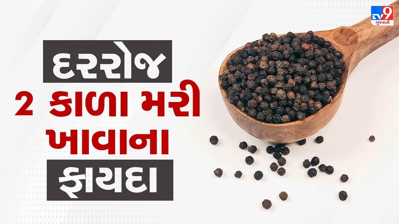 જો તમે વધારાનું વજન ઘટાડવા ઈચ્છતા હો, તો તમારા દૈનિક આહારમાં કાળા મરીનો સમાવેશ કરવો લાભદાયી બની શકે છે. કાળા મરીમાં પાઈપરિન નામક તત્વ હોય છે, જે શરીરમાં ચરબીના સંગ્રહને ઘટાડવામાં અને ચયાપચયને તેજ બનાવવામાં મદદ કરે છે. જ્યારે ચયાપચય ઝડપી બને છે, જેના કારણે ધીમે ધીમે વજનમાં ઘટાડો થવા લાગે છે. ઉપરાંત, કાળા મરી ખોરાકના સ્વાદને પણ વધારતા હોવાથી તમે તે સરળતાથી તમારા રોજિંદા ભોજનમાં ઉમેરી શકો છો, જેમ કે સલાડ, સૂપ, ચા અથવા રસોઈમાં મસાલા તરીકે.