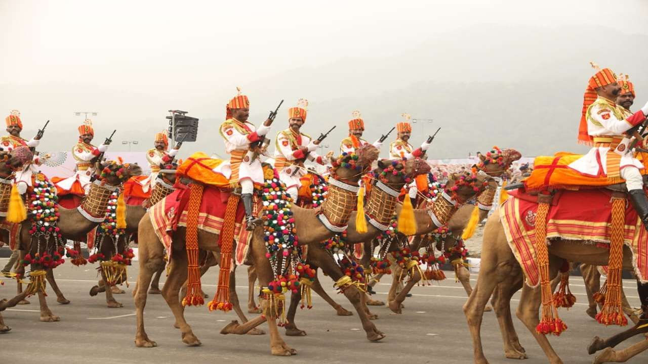 Camel Brigade 2_6_11zon