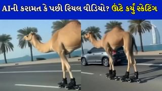 આજ કુછ તુફાની કરતે હૈ ! દુબઈના રસ્તાઓ પર ઊંટે કર્યું સ્કેટિંગ, લોકો થયા આશ્ચર્યચકિત, જુઓ રોમાંચક વીડિયો