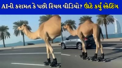 આજ કુછ તુફાની કરતે હૈ ! દુબઈના રસ્તાઓ પર ઊંટે કર્યું સ્કેટિંગ, લોકો થયા આશ્ચર્યચકિત, જુઓ રોમાંચક વીડિયો