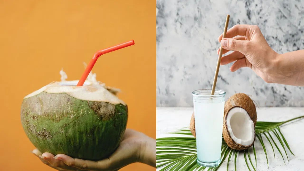 નારિયેળ પાણીમાં પોટેશિયમ અને મેગ્નેશિયમ ભરપૂર માત્રામાં હોય છે, જ્યારે કાળું મીઠું સોડિયમ અને આયર્ન જેવા ટ્રેસ મિનરલ્સ ઉમેરે છે. આયુર્વેદમાં, કાળા મીઠાને પાચન વધારનાર માનવામાં આવે છે, ભૂખ વધારે છે અને ચયાપચયને વેગ આપે છે. નારિયેળ પાણીમાં કાળું મીઠું ઉમેરવાથી પાચન સ્વાસ્થ્યમાં વધુ સુધારો થાય છે.