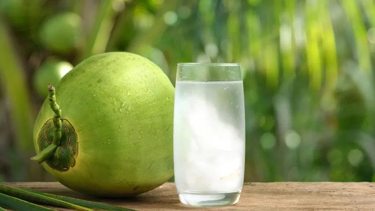 નારિયેળ પાણી એક તાજગી આપતું પીણું છે જે શરીર માટે અત્યંત ફાયદાકારક છે. તે કુદરતી રીતે પોટેશિયમ, મેગ્નેશિયમ અને સોડિયમ જેવા ઇલેક્ટ્રોલાઇટ્સથી ભરપૂર છે, જે શરીરને હાઇડ્રેટ રાખવામાં મદદ કરે છે અને સ્નાયુઓ અને ચેતાના યોગ્ય કાર્યને ટેકો આપે છે. આ તેને વર્કઆઉટ પછી પીવા માટે એક આદર્શ પીણું છે.