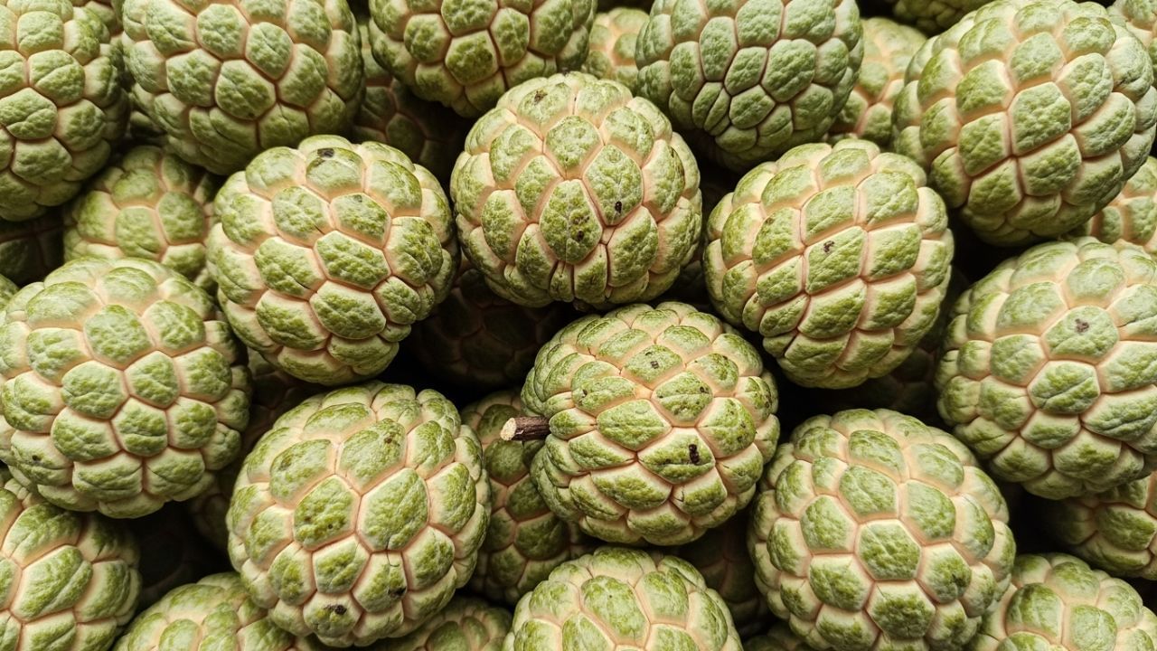 રોગપ્રતિકારક શક્તિ માટે - સીતાફળમાં વિટામિન સી અને ઘણા પોષક તત્વો હોય છે, જે શરીરની રોગપ્રતિકારક શક્તિને મજબૂત બનાવવામાં મદદ કરી શકે છે. જો તમે પણ તમારી રોગપ્રતિકારક શક્તિને મજબૂત બનાવવા માંગતા હો, તો તમે તમારા આહારમાં સીતાફળનો સમાવેશ કરી શકો છો.