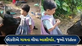 ગાય પ્રત્યેની છોકરીની અદભુત શ્રદ્ધા, શાળાએ જતાં પહેલા લીધા આશીર્વાદ ગાય પ્રત્યેની છોકરીની અદભુત શ્રદ્ધા, શાળાએ જતાં પહેલા લીધા આશીર્વાદ