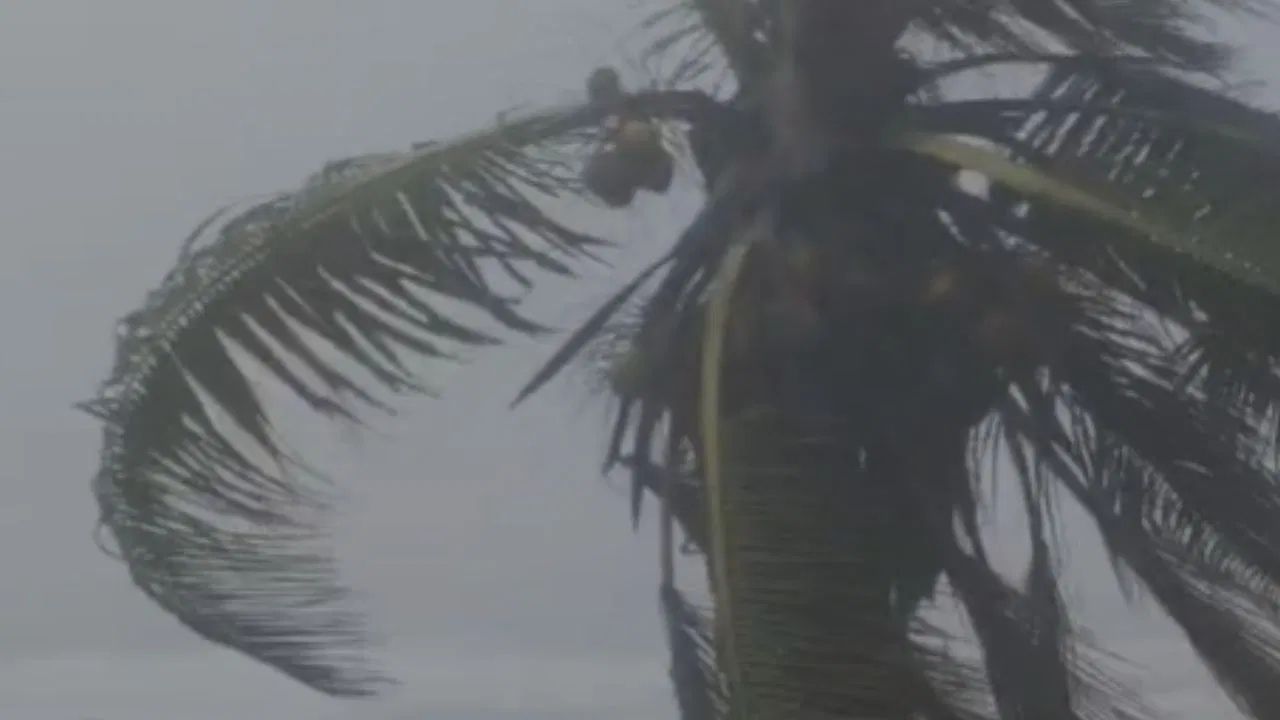 Cyclone Methi Brings Heavy Rain to Maharashtra Konkan, Ganpatipule Face Storm (3)