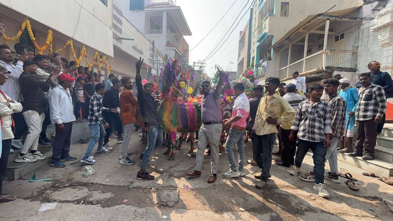 Dahod : દાહોદના ગરબાડામાં નવા વર્ષે ઉજવવાની અનોખી પરંપરા, પુરુષો પરથી દોડાવાય છે ગાયો, જુઓ Video