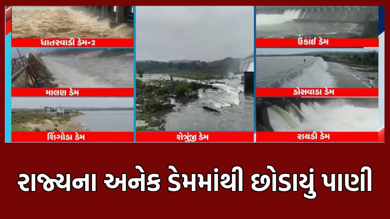 ભારે વરસાદને કારણે રાજ્યના અનેક ડેમોમાંથી છોડાયું પાણી ધાતરવડી, માલણ અને શેત્રુંજી ડેમના દરવાજા ખોલાયા- Video