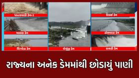 ભારે વરસાદને કારણે રાજ્યના અનેક ડેમોમાંથી છોડાયું પાણી ધાતરવડી