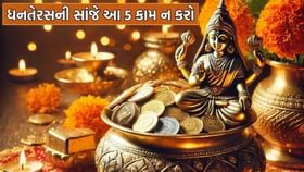 ધનતેરસે ભૂલથી પણ ન કરતા આ કામ નહીંતો નહીં મળે માતા લક્ષ્મીના આશીર્વાદ