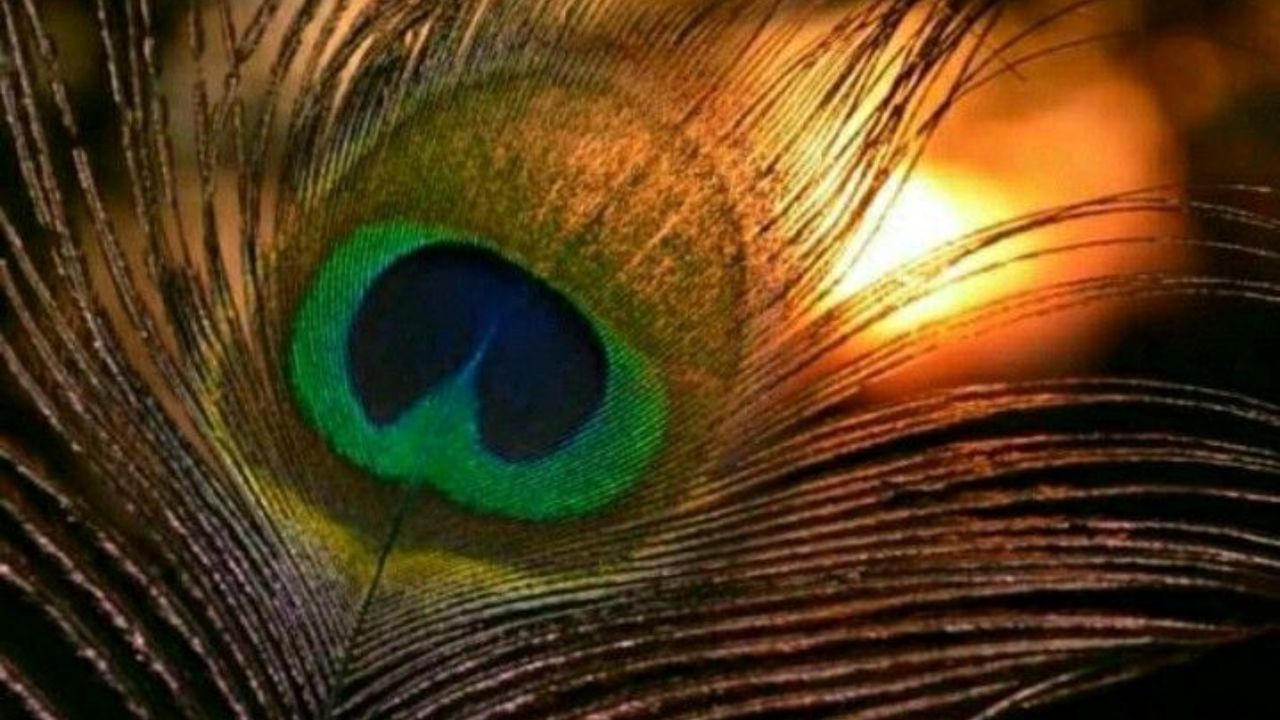 Diwali Vastu Tips 2025 (3)