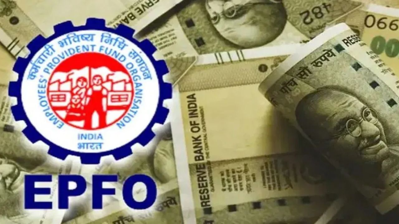 હવે તમારા UAN નંબર અને પાસવર્ડ સાથે લોગ ઇન કરો. તમારું PF બેલેન્સ અહીં જોવા મળશે. ધ્યાન રાખો કે, તમારું UAN એક્ટિવ થયેલું હોવું જોઈએ.