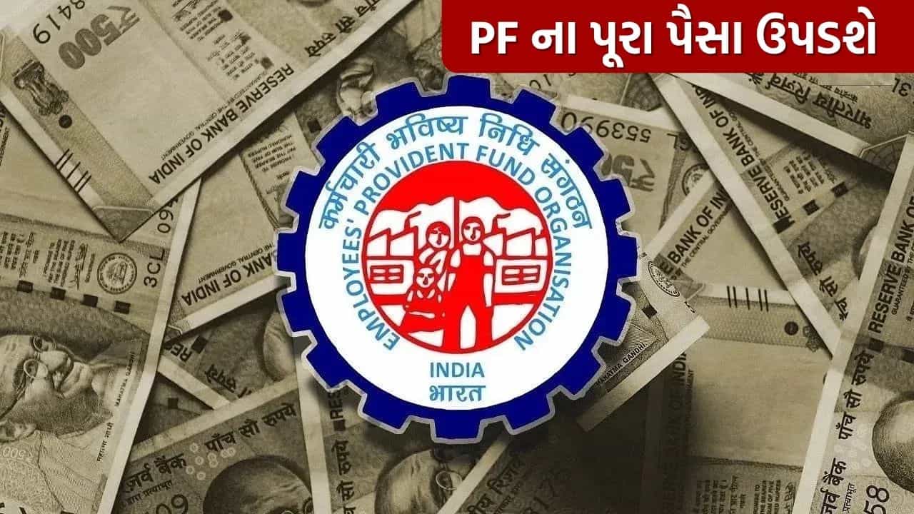 Breaking News : દિવાળી પહેલા EPFO એ કરી મોટી જાહેરાત, હવે તમે કોઈપણ દસ્તાવેજો સબમિટ કર્યા વિના ઉપાડી શકશો PF