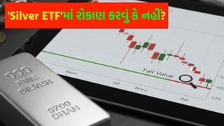 Silver : હાઇ રિટર્નની આશા પર પાણી ફેરવાયું ! શું તમે પણ ‘Silver ETF’માં રોકાણ કર્યું છે ? રોકાણકારોને એક જ દિવસમાં થયું નોંધપાત્ર નુકસાન
