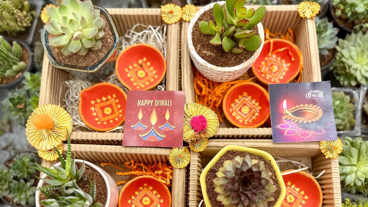 સફાઈ અભિયાનમાં ભાગ લો: દિવાળીની સફાઈ દરમિયાન પ્લાસ્ટિક અલગ કરો અને રીસાયકલ કરો. તમારા વિસ્તારને સ્વચ્છ રાખવાનો સંકલ્પ લો.
