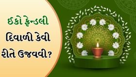 ઈકો ફ્રેન્ડલી દિવાળી કેવી રીતે ઉજવવી? જાણો અલગ-અલગ રીતો
