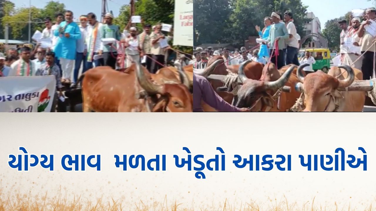 જામનગરમાં ટેકાના ભાવે મગફળીની ખરીદી મુદ્દે ખેડૂતોએ નોંધાવ્યો આકરો વિરોધ- Video