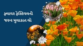 આ ફ્લાવર ફેસ્ટિવલની એક વખત જરુર મુલાકાત લો આ ફ્લાવર ફેસ્ટિવલની એક વખત જરુર મુલાકાત લો