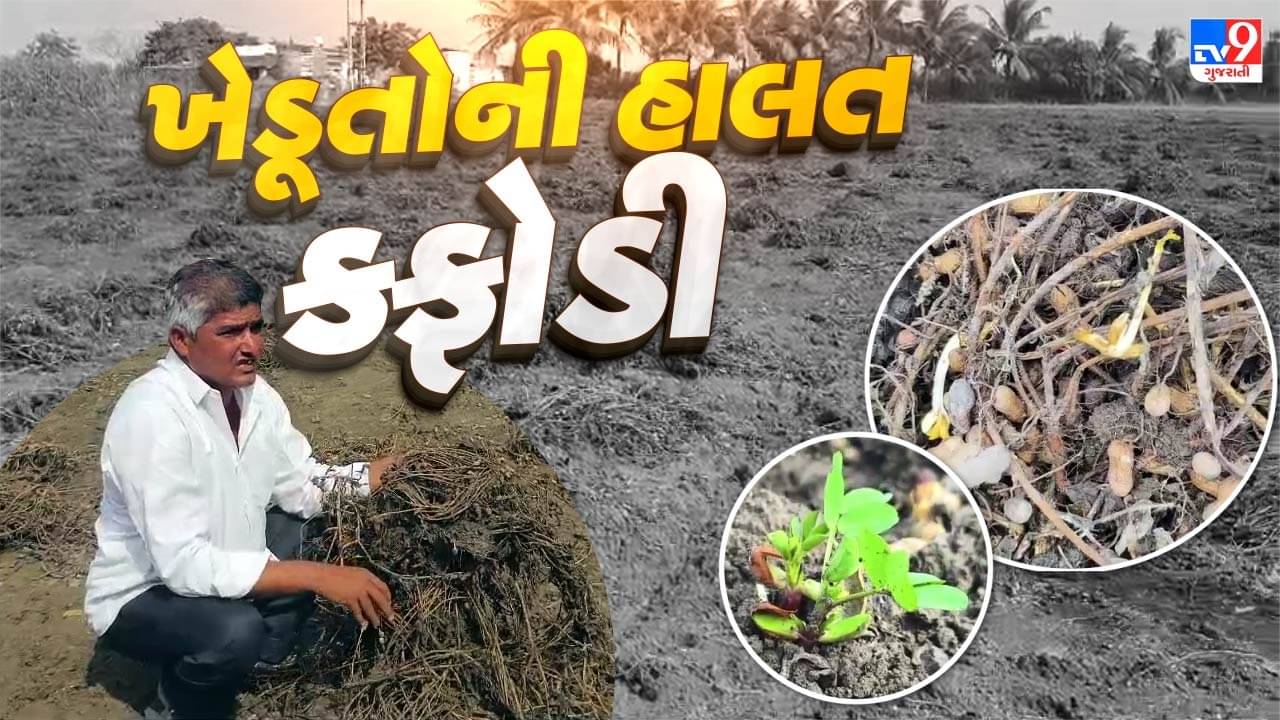 Gir Somnath : કોડીનારના ખેડૂતોની હાલત કફોળી ! મગફળી, સોયાબીન સહિતનો પાકને નુકસાન, જુઓ Video