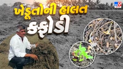 Gir Somnath : કોડીનારના ખેડૂતોની હાલત કફોળી ! મગફળી, સોયાબીન સહિતનો પાકને નુકસાન, જુઓ Video