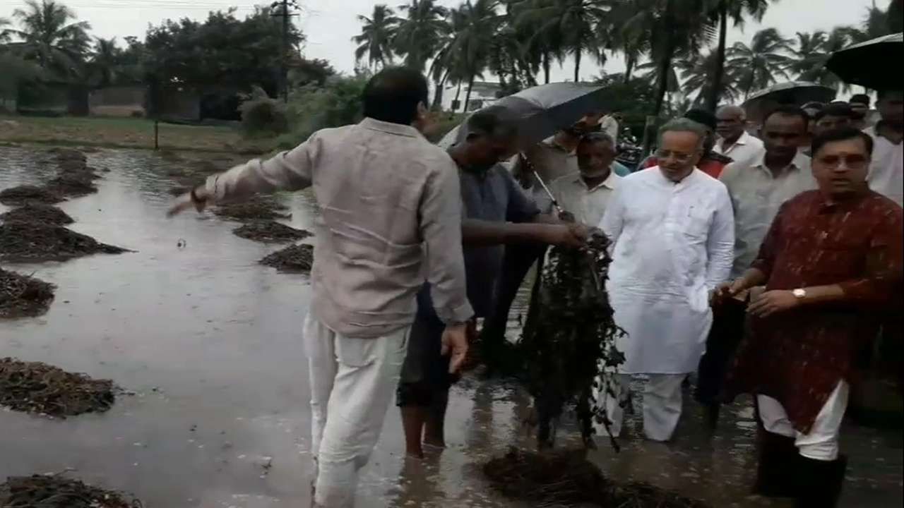 Gir Somnath Agricultural Damage Survey Arjun Modhwadia 6_1_11zon