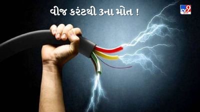 Gir Somnath : વેરાવળ પંથકમાં વીજ કરંટ લાગતા 3 યુવકના કમકમાટી ભર્યા મોત, પરિવારમાં શોકનો માહોલ, જુઓ Video Gir Somnath : વેરાવળ પંથકમાં વીજ કરંટ લાગતા 3 યુવકના કમકમાટી ભર્યા મોત, પરિવારમાં શોકનો માહોલ, જુઓ Video