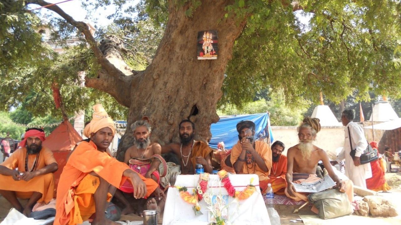 Girnar Parikrama (4)