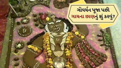 Govardhan Puja 2025: ગોવર્ધન પૂજા પછી ગાયના છાણનું શું કરવું? તેનો ઉપયોગ ક્યાં અને કેવી રીતે કરવો તે જાણો