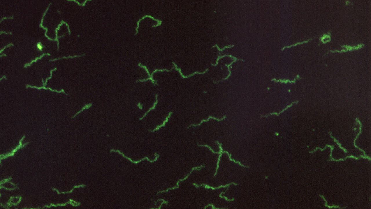 Gynecologist Tip (10)