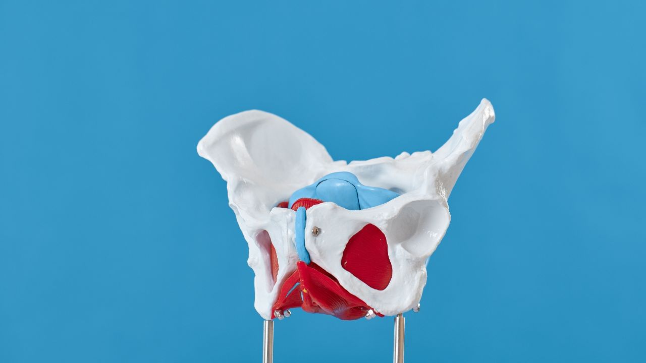 Gynecologist Tips (1)