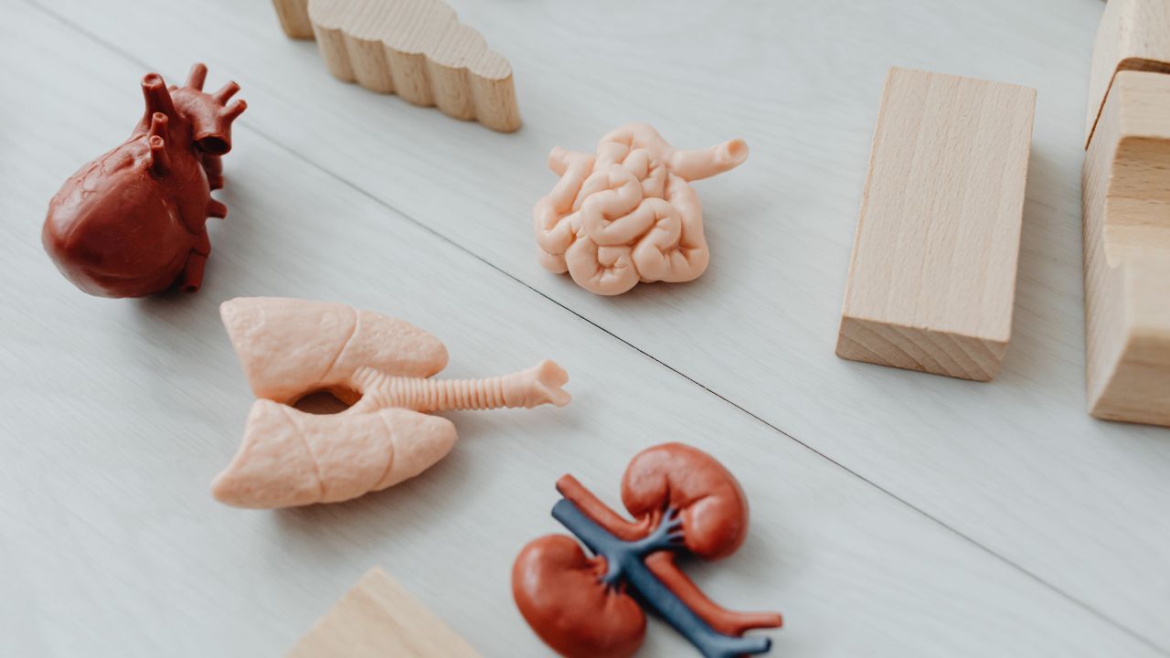 શું તમે ક્યારેય વિચાર્યું કે, લાંબા સમય સુધી પેશાબ રોકવી અસુવિધાજનક નથી પરંતુ તમારા સ્વાસ્થય માટે ખતરનાક પણ હોય શકે છે. કામમાં વ્યસ્તતા, લાંબી યાત્રા, ટ્રાફિક જામ કે પછી બાથરુમની અસુવિધાના કારણે કેટલીક મહિલાઓ પેશાબ જતી નથી.