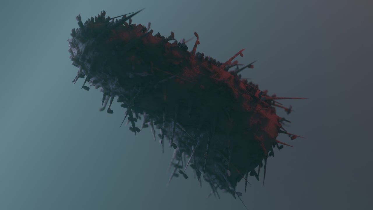 Gynecologist Tips (2)